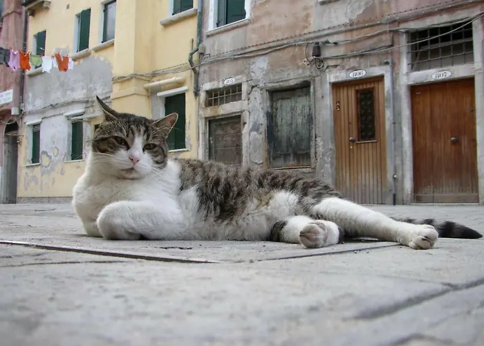 Essence Of Venice